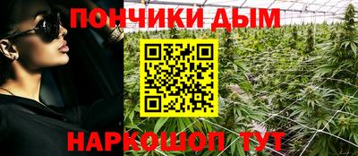 шишки Бузулук