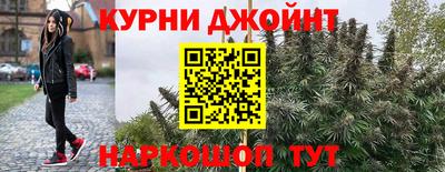 шишки Бузулук