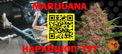 шишки Бузулук