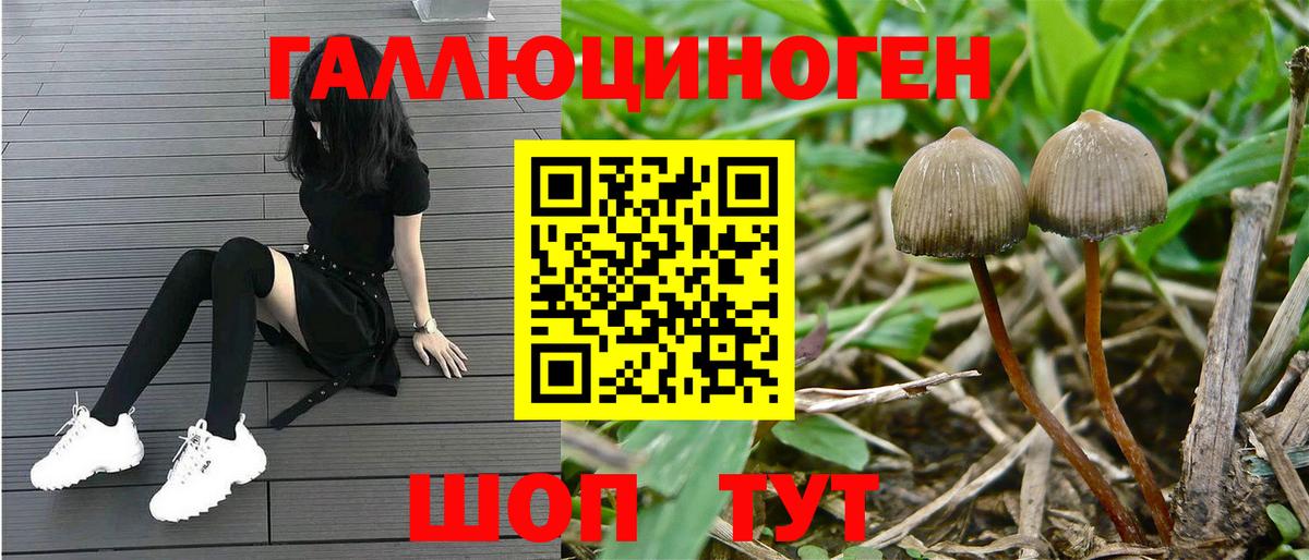 Псилоцибиновые грибы мицелий  Вход с VPN  Назарово 